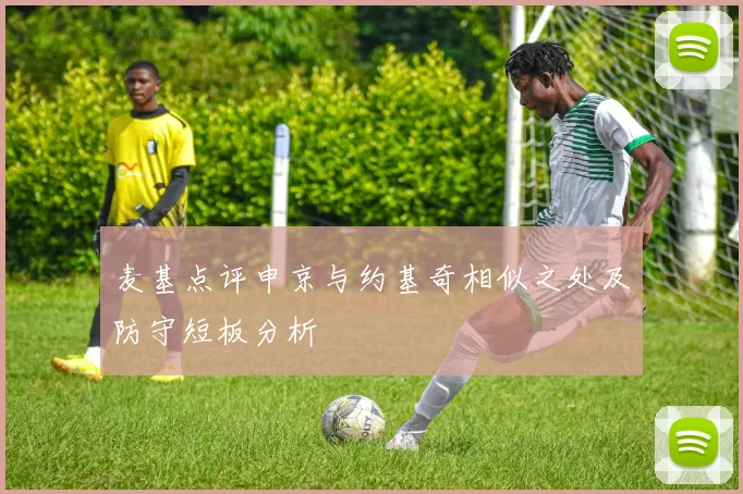 麦基点评申京与约基奇相似之处及防守短板分析