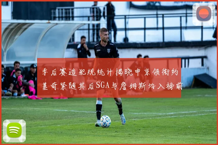 季后赛造犯规统计揭晓申京领衔约基奇紧随其后SGA与詹姆斯均入榜前十