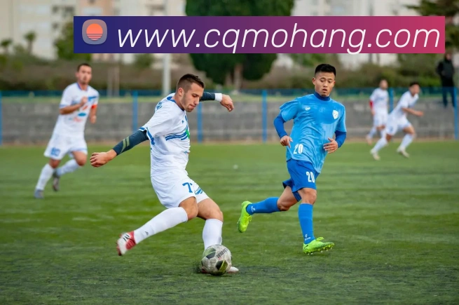 App Interface Preview