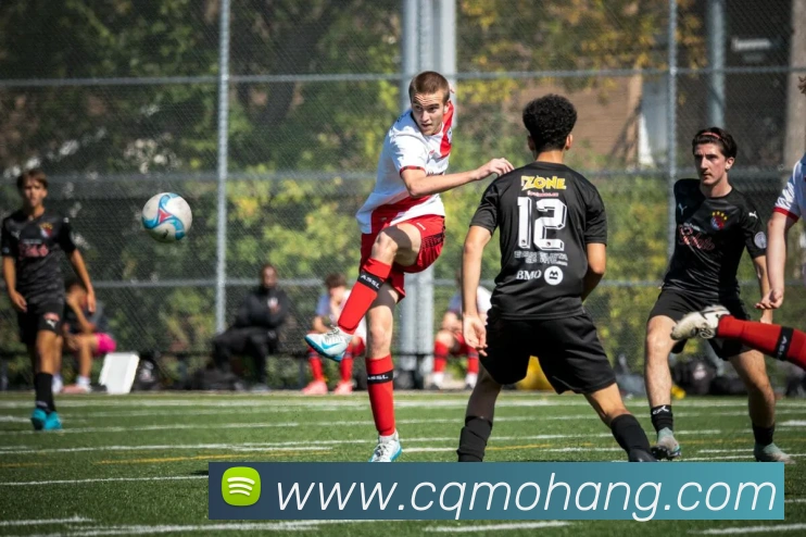 星空体育在线登录官网APP 封面图